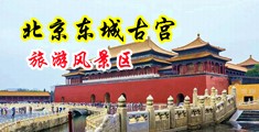 国产www御白虎空姐网中国北京-东城古宫旅游风景区